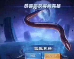 王者荣耀三位不配拥有名字的英雄,第三无人会叫全名 王者荣耀三位不配拥有名字的英雄,第三无人会叫全名