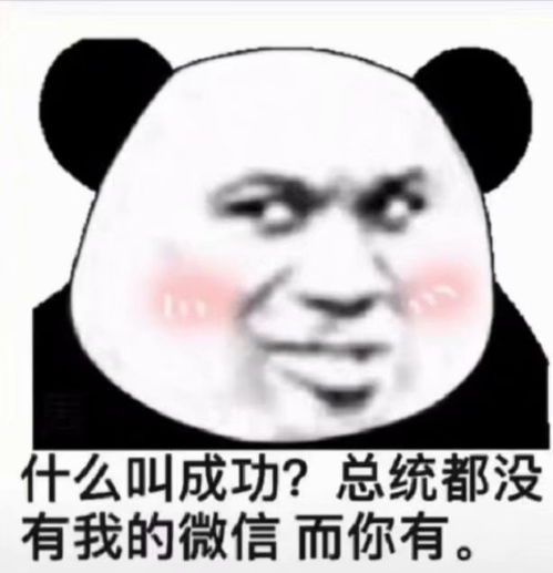  熊猫表情包你根本就不懂光