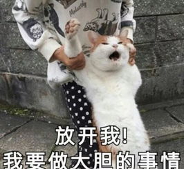  真人试穿130斤穿上变90斤的牛仔裤,就是这几条