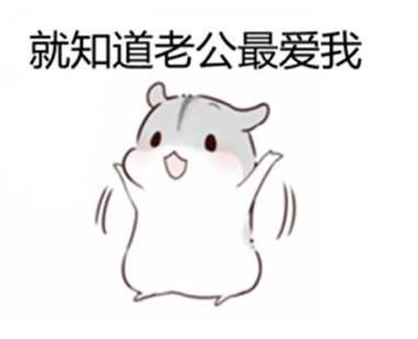  就知道老公最爱我你们要的老婆撩老公表情包老公撩妹撩汉表情