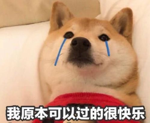  豆瓣4.9,将是花木兰最后的归宿