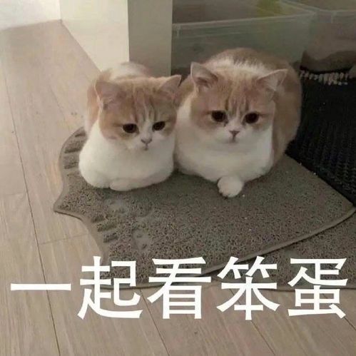  哈哈哈哈哈哈哈哈哈哈哈哈哈