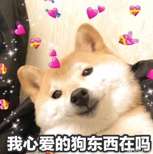  明博体育登录2023已更新今日北青网