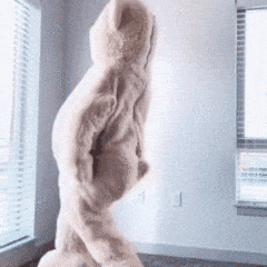  两只老虎爱跳舞表情包