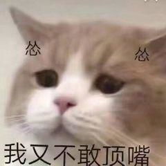  刚谈恋爱特别懵逼咋办