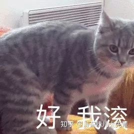  日本大学院修士的日常是什么样子的