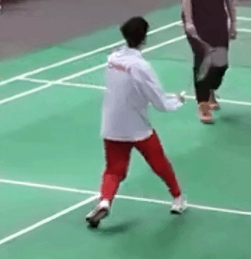  看了盛李豪这段话,终于明白,他和樊振东潘展乐玩得好的原因