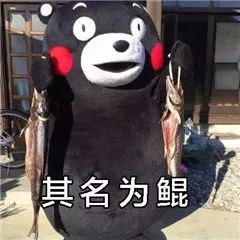 佛山从3月1日起禁渔渔民非常理解,到时开渔收获多 佛山从3月1日起禁渔渔民非常理解,到时开渔收获多