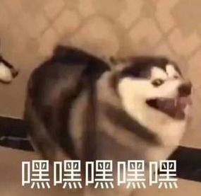  皮肤心愿单一键清空海量福利微电影赢家2陪你过大年