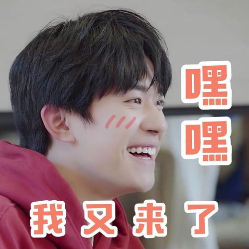  200429易烊千玺搞笑表情包来啦快快更新你的表情包库