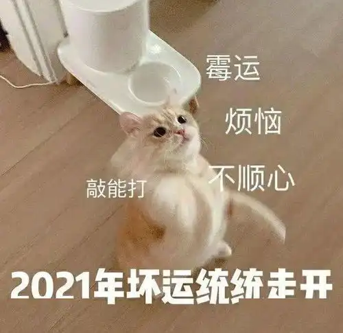 给男朋友道歉表情包红包