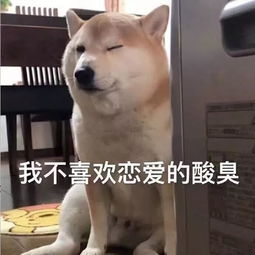  双十一你准备好了吗