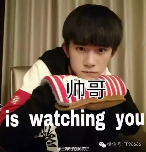 tfboy表情包喂猫