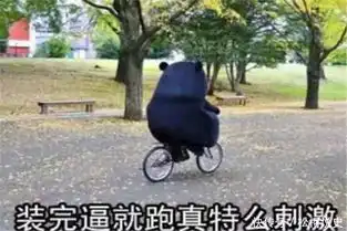 人生疾苦表情包祭车