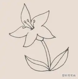  百合花简笔画