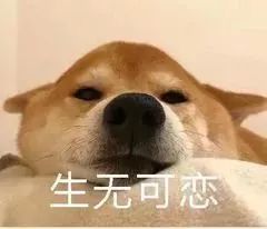  黄色预警红色预警扬州已进入多发季节,这两天早晚务必当心