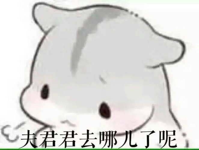  仓鼠夫妻