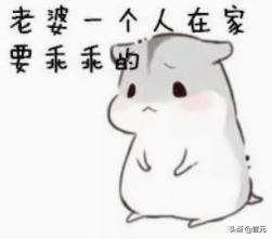  干货求生欲超强的表情包