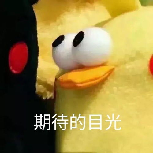 红豆米私密马赛表情包