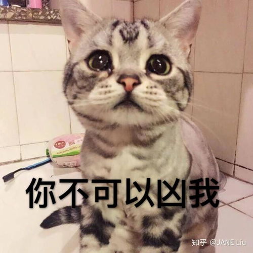 可怜表情包图片委屈