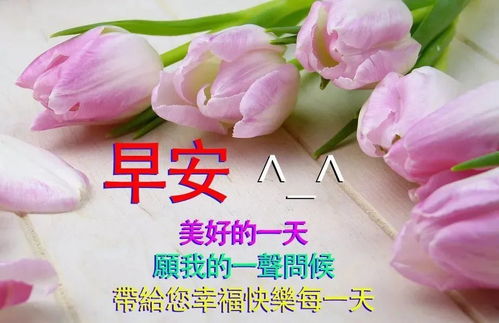  8月21日最新漂亮真人美女早上好动画表情包最美早安问候祝福美女动态表情图片