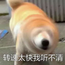  魔性狗子表情包全属精品