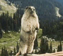  人造人变成上帝,没有慈悲的悲惨世界异形契约震撼来袭