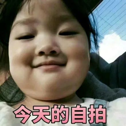 胖女人表情包卡通自拍