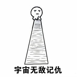 对方已进入记仇模式,记仇模式表情包 对方已进入记仇模式,记仇模式表情包