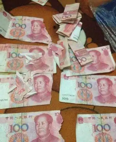 来到家里不到两天的二哈,老爸攒了两年的零花钱没了 来到家里不到两天的二哈,老爸攒了两年的零花钱没了