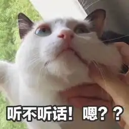 猫咪威胁表情包你说完了没有 猫咪威胁表情包你说完了没有