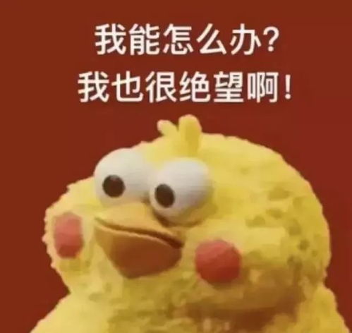  因为飞机餐的一个苹果,她被罚500刀,取消全球入境资格