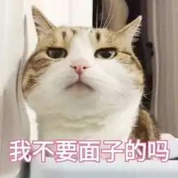 猫咪老师表情包带字表情