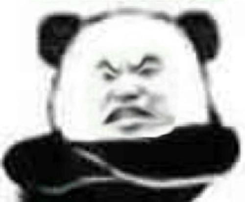搞怪熊猫表情包何丹妮