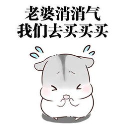  给女朋友道歉的正确方式,这组表情包请转给有需要的人