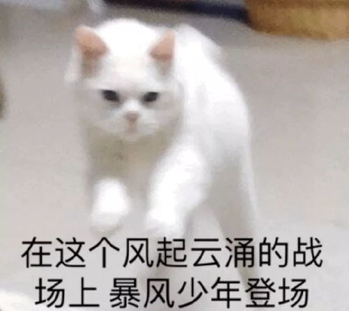  魅族曝4款最新旗舰挖孔屏真香小白一加6t努比亚x测评视频