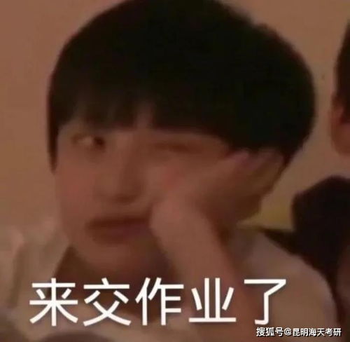 吃屎吧表情包交作业