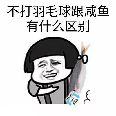 2018最新斗图表情包羽毛