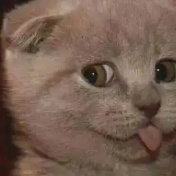 教你get省钱攻略火车票用完不要扔还有这个用途 教你get省钱攻略火车票用完不要扔还有这个用途