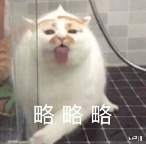  有没有人把肖战代言的东西列出来,我避个雷