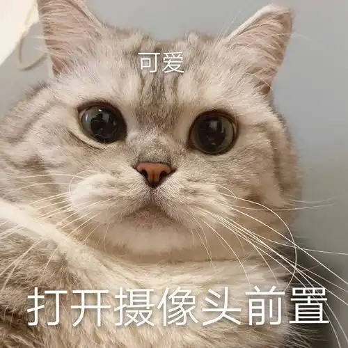 现在草莓到底多少钱一斤呀 现在草莓到底多少钱一斤呀