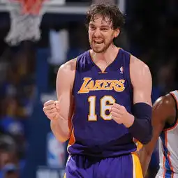  洛杉矶湖人队nba球队搜狗百科