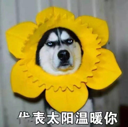  暴跌十堰天气要大变