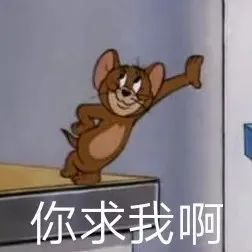  猫和老鼠搞笑表情包弱者才睡觉,你是弱者吗
