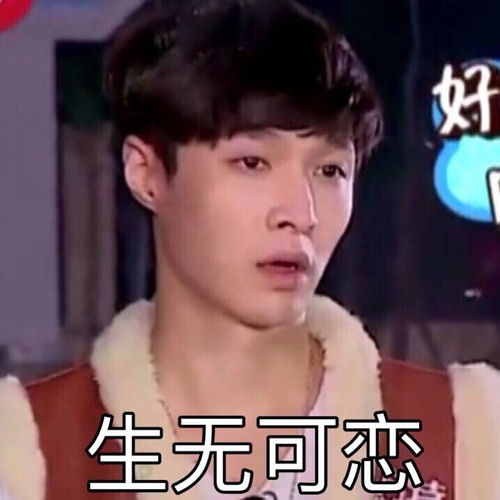  小艺兴表情包呼呼