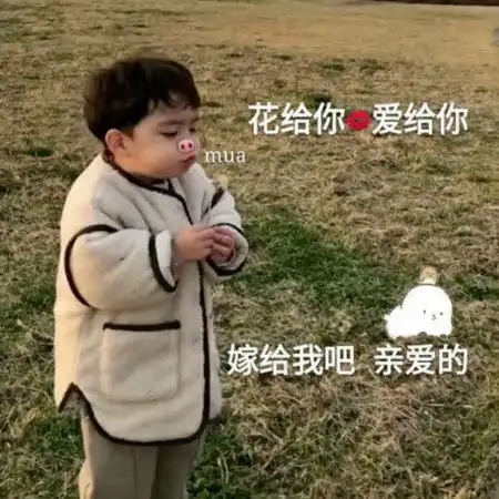 给花表情包我们和好吧