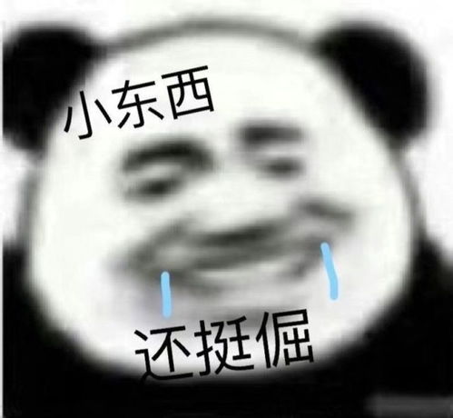  搞笑熊猫头闭上你的嘴搞笑