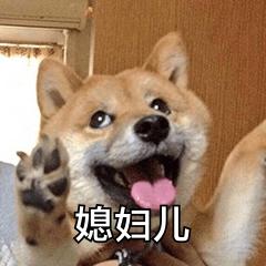  适合夫妻的表情包没人疼没人爱我是地里小白菜