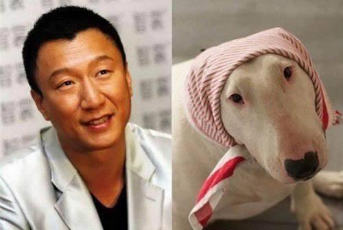  不要再说林永健和孙红雷像牛头梗了,他才是最像的