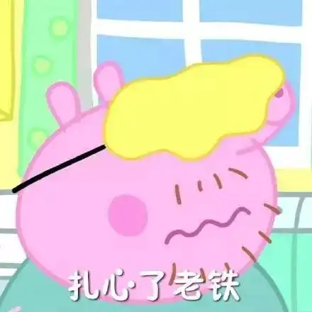 斗图表情包乌龟小猪